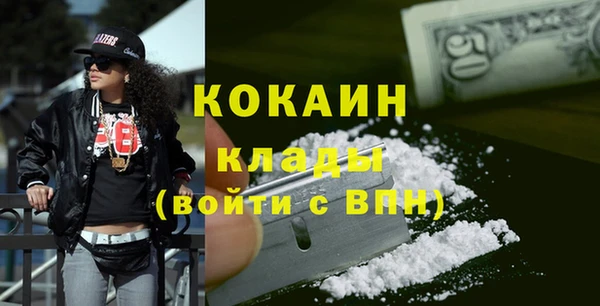 ГАЛЛЮЦИНОГЕННЫЕ ГРИБЫ Аркадак