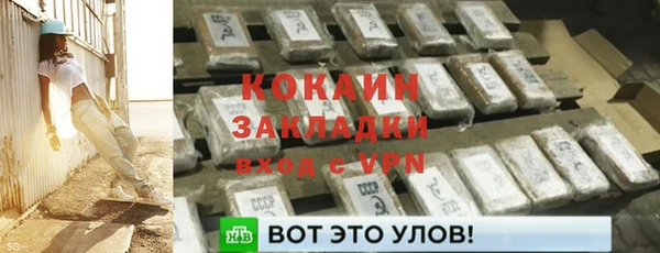 ГАЛЛЮЦИНОГЕННЫЕ ГРИБЫ Аркадак